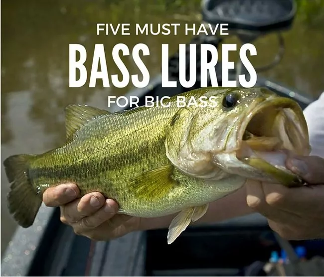 5 Must Have Bass Lures For Big Bass
