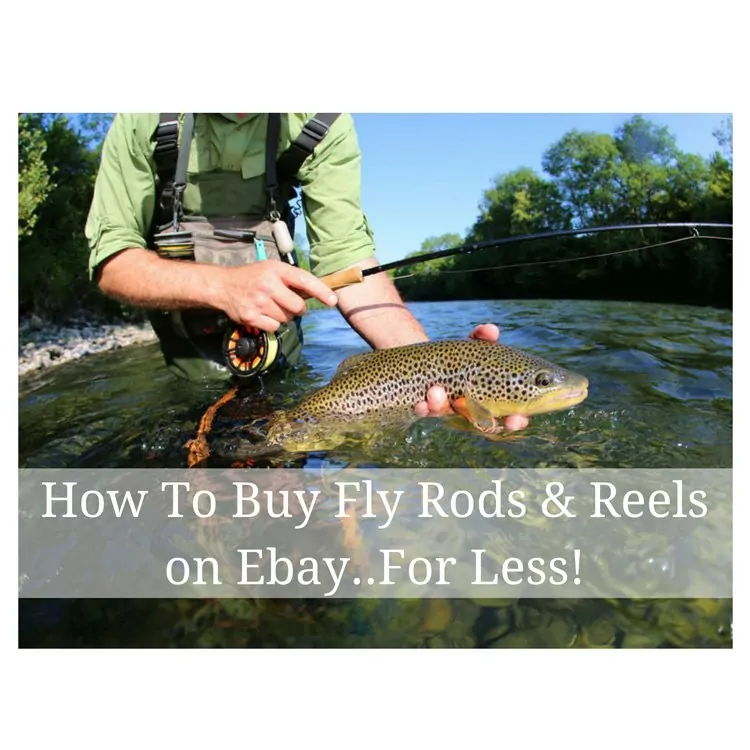 How To Buy Fly Rods and Reels on Ebay For Less